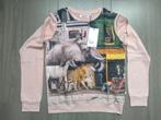 nieuwe luchte trui Molo maat 152, Kinderen en Baby's, Trui of Vest, Nieuw, Ophalen of Verzenden, Molo