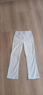 Witte broek, Vêtements | Femmes, Culottes & Pantalons, Taille 34 (XS) ou plus petite, Porté, Blanc, Enlèvement