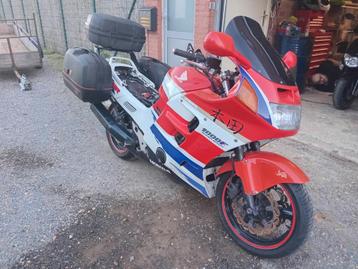 Hond cbr 1000 Koffers  beschikbaar voor biedingen
