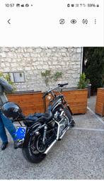 Harley Sportster, Particulier