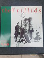 LP - The Triffids – Treeless Plain - 1984, CD & DVD, Vinyles | Rock, Enlèvement ou Envoi, Comme neuf, 12 pouces, Autres genres