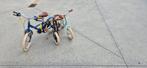 3x fiets, Fietsen en Brommers, Ophalen, Gebruikt, B-Twin