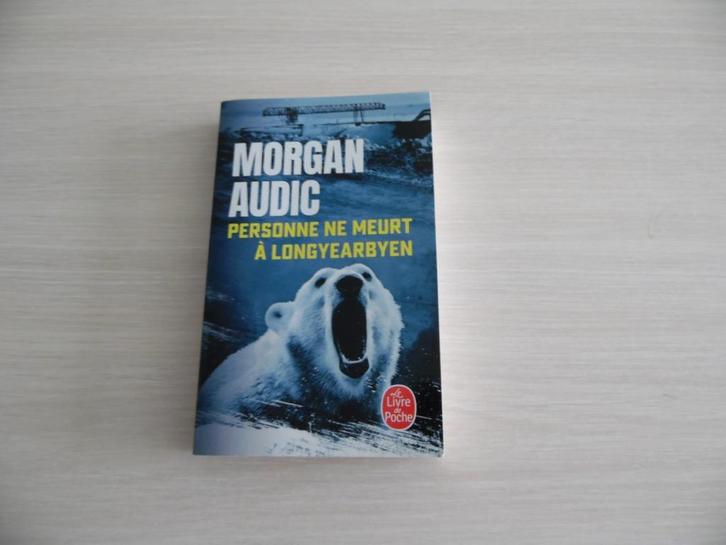PERSONNE NE MEURT À LONGYEARBYEN    MORGAN AUDIC, Boeken, Detectives, Zo goed als nieuw, Ophalen of Verzenden