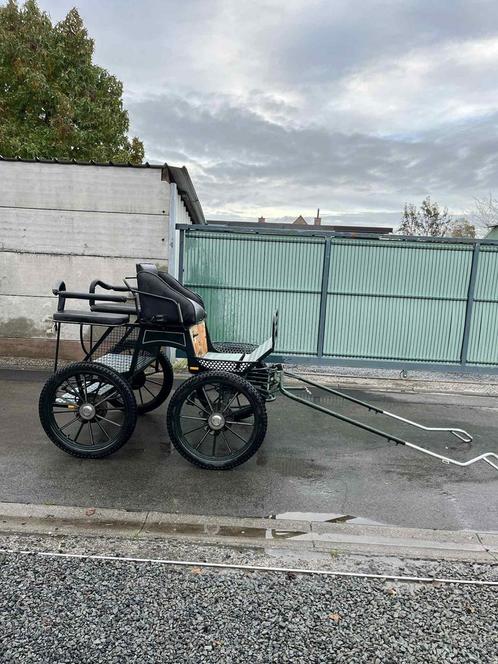 Pony enkel- en dubbelspan koets, Dieren en Toebehoren, Rijtuigen en Koetsen, Zo goed als nieuw, Pony