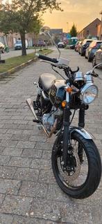 Mash black seven 125cc motor, Motoren, Particulier