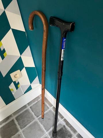 2 wandelstokken beschikbaar voor biedingen