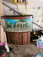 Aquarium Juwel 240l + meuble + equipements, Enlèvement, Utilisé, Autres types