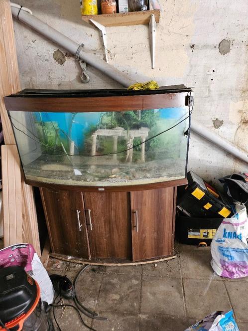 Aquarium Juwel 240l + meuble + equipements, Animaux & Accessoires, Poissons | Aquariums & Accessoires, Utilisé, Autres types, Enlèvement