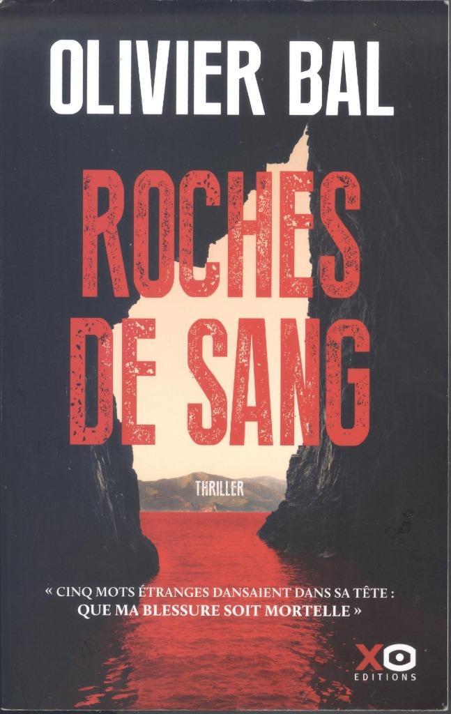 ROCHES DE SANG, Livres, Thrillers, Comme neuf, Belgique, Enlèvement