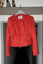 Kort rood jasje, Colynn, M, Kleding | Dames, Maat 38/40 (M), Ophalen of Verzenden, Zo goed als nieuw, Jasje