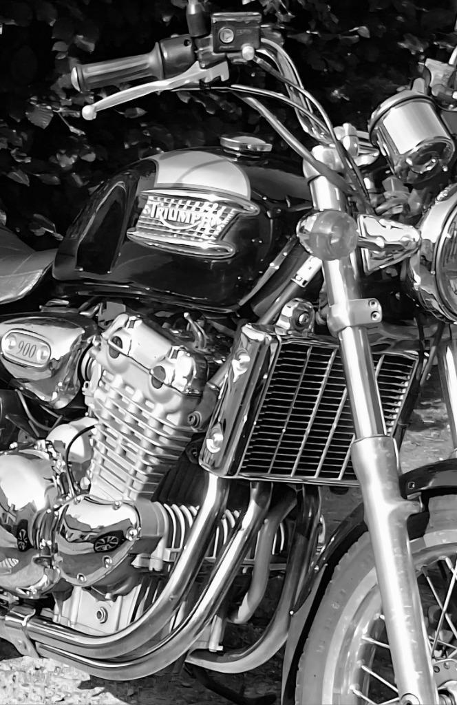 Prachtige Triumph Thunderbird 900 uit 1997, Motoren, Motoren | Triumph, Particulier, Naked bike, meer dan 35 kW, 3 cilinders, Minimaal motorrijbewijs A1