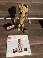 Lego 76217 Ik Ben Groot (Marvel), Kinderen en Baby's, Speelgoed | Duplo en Lego, Ophalen of Verzenden, Zo goed als nieuw, Lego