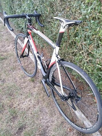 Koersfiets Kuota, carbon, Ultegra beschikbaar voor biedingen