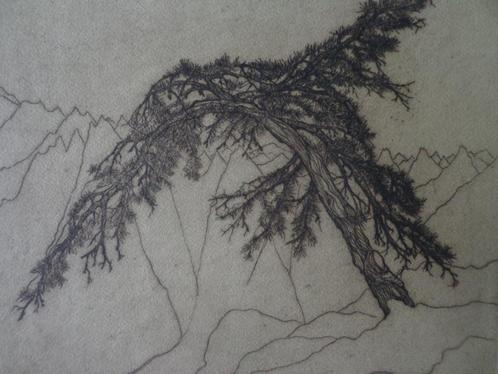 KOOPJE ets Eugeen Yoors Dennenboom in gestyleerd landschap, Antiek en Kunst, Kunst | Etsen en Gravures, Ophalen of Verzenden