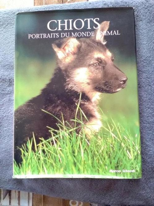 "Puppies - Portretten van de dierenwereld" Marcus Schneck (1, Boeken, Dieren en Huisdieren, Zo goed als nieuw, Honden, Ophalen of Verzenden