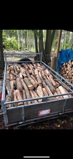 Droog brandhout Eik, 6 m³ ou plus, Enlèvement, Chêne, Troncs d'arbres