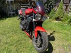 TRIUMPH speed triple 675 BJ 2009 38003 KM, Motoren, Motoren | Triumph, 675 cc, Particulier, Meer dan 35 kW, Naked bike