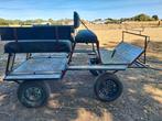 Menwagen, Dieren en Toebehoren, Gebruikt, Overige typen, Paard of Pony