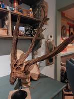 skull gesneden uit drijfhout, Antiquités & Art, Art | Sculptures & Bois, Enlèvement