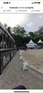 Paardensportevenementen 2 prachtige paddocktorens 45.000€, Accessoires