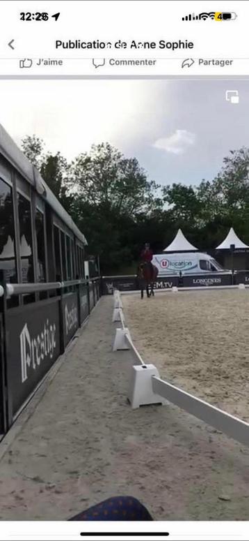 Paardensportevenementen 2 prachtige paddocktorens 45.000€ beschikbaar voor biedingen