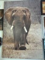 Doek met olifant erop, Antiek en Kunst, Kunst | Schilderijen | Modern, Ophalen