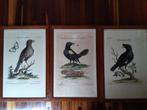 Set van 3 litho's van J.M. Seligmann, Antiek en Kunst, Kunst | Litho's en Zeefdrukken, Ophalen of Verzenden