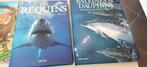 Livres requins & dauphins, Ophalen, Gelezen