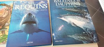 Livres requins & dauphins beschikbaar voor biedingen