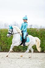 Geweldig Welsh sportpony, Dieren en Toebehoren, Pony's, ZZ, Gechipt, Ruin, B pony (1.17m tot 1.27m)