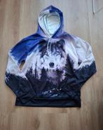 Hoodie maat L, Vêtements | Hommes, Pulls & Vestes, Enlèvement ou Envoi, Comme neuf, Taille 52/54 (L), Violet