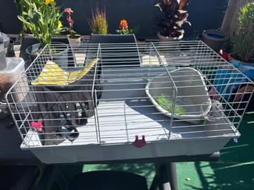 Caviakooi, 75 à 110 cm, Cage, Comme neuf, Enlèvement