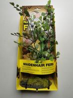 verschillende varen & plastieken planten voor terrarium, Ophalen of Verzenden, Nieuw