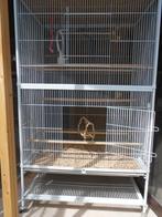 cage à oiseaux, Animaux & Accessoires, Oiseaux | Cages & Volières, Comme neuf, Enlèvement, Volière, Aluminium