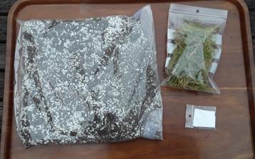 Zaadjes + starterspakket zonnedauw (vleesetende planten) beschikbaar voor biedingen