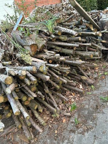 Hout beschikbaar voor biedingen