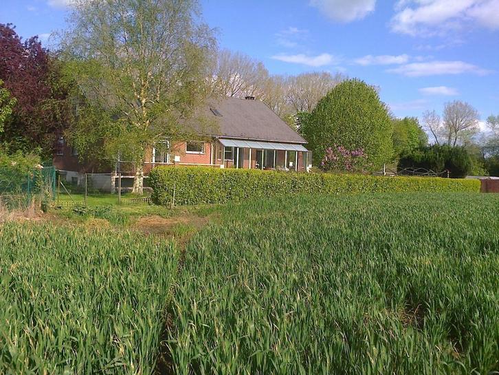 Cherche à louer, Immo, Maisons à louer