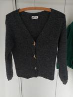 Grijze gilet met Dino knopen H&M maat 140, Gebruikt, Meisje, Trui of Vest, H&M