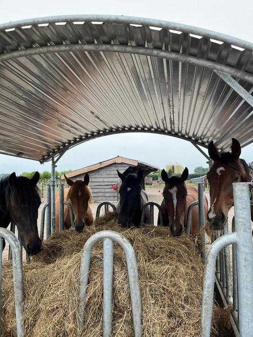 Hooiruif, Voerruif, Hooiruiven, Voerruiven, Hooi, Voeren, Dieren en Toebehoren, Stalling en Weidegang, Opfok, Stalling, Weidegang