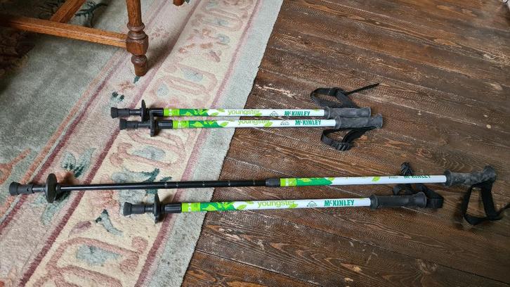 Bâtons de marche McKinley pour enfants, Sports & Fitness, Sports & Fitness Autre, Comme neuf, Enlèvement