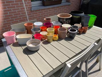 Lot bloempotten samen te koop beschikbaar voor biedingen