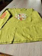 trui 164, Kinderen en Baby's, Kinderkleding | Maat 164, Ophalen of Verzenden