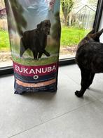 Hondenvoeding (senior), Dieren en Toebehoren, Dierenvoeding, Ophalen, Hond