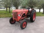 Hanomag Brillant 442 oldtimer tractor, Ophalen of Verzenden