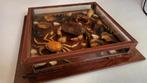 Taxidermie curiosa, schelpdieren, Antiek en Kunst, Ophalen