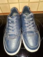 O'NEILL  maat 40, Vêtements | Hommes, Chaussures, Enlèvement ou Envoi, O’Neill, Chaussures à lacets, Porté