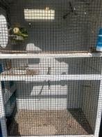 Vogelkooi voor buiten afmeting hoogte 157 en breedte 89cm, Ophalen, Zo goed als nieuw, Vogelkooi