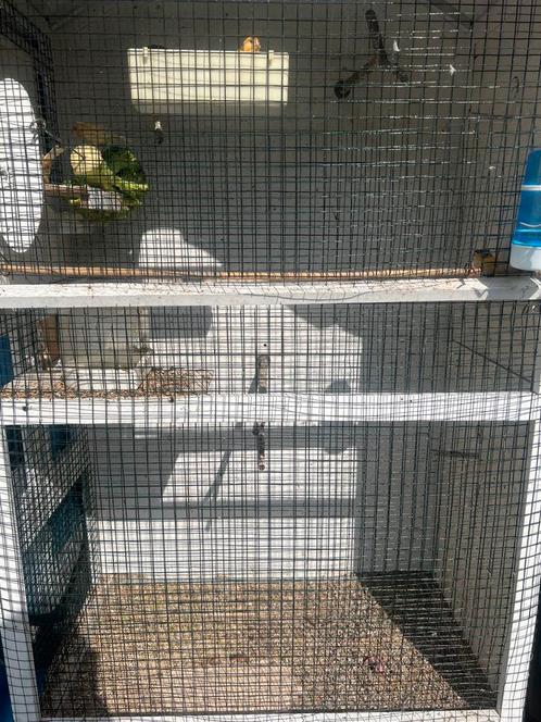 Vogelkooi voor buiten afmeting hoogte 157 en breedte 89cm, Dieren en Toebehoren, Vogels | Hokken en Kooien, Zo goed als nieuw