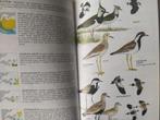 boek: Thieme's grote natuurgids +Thieme gids Europese vogels, Gelezen, Vogels, Verzenden