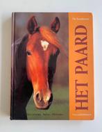 Het paard, Patricia Kindermans, hardcover In perfecte staat, Boeken, Dieren en Huisdieren, Ophalen of Verzenden, Gelezen, Paarden of Pony's